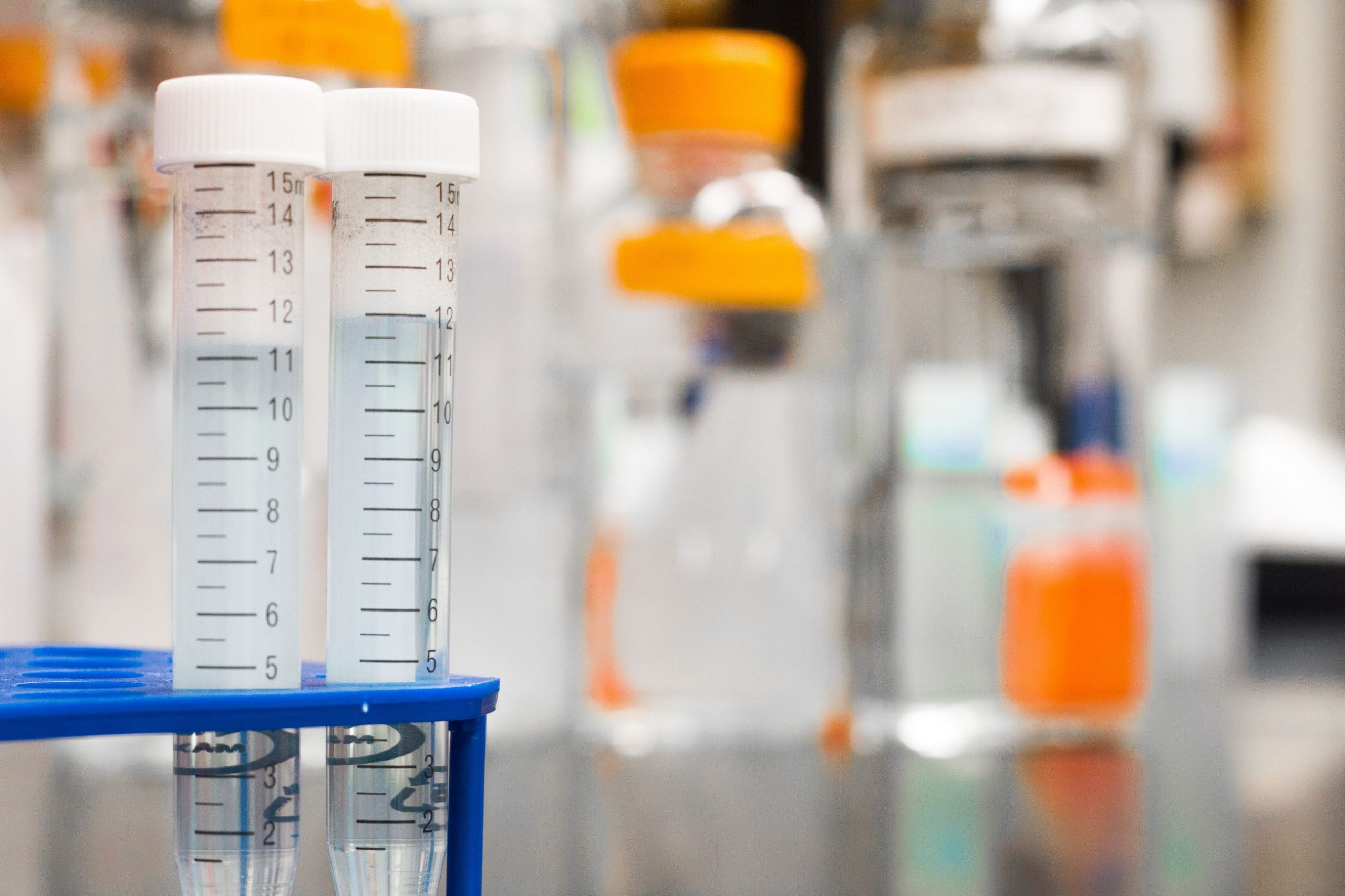 Clinical sample prepared for a preemployment medical check